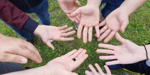 20210609_112546_resized