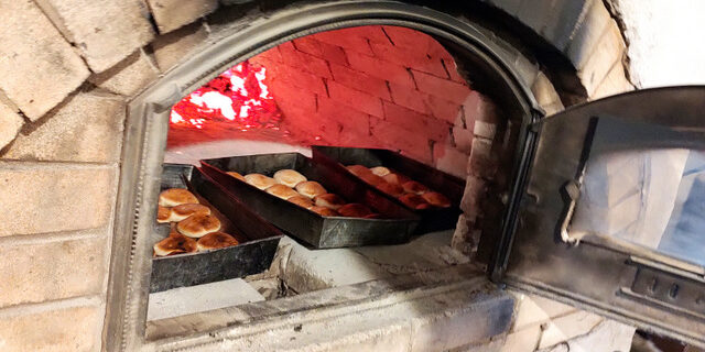 img_20241121_113246450