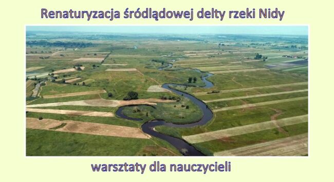 Delta-rzeki-Nidy