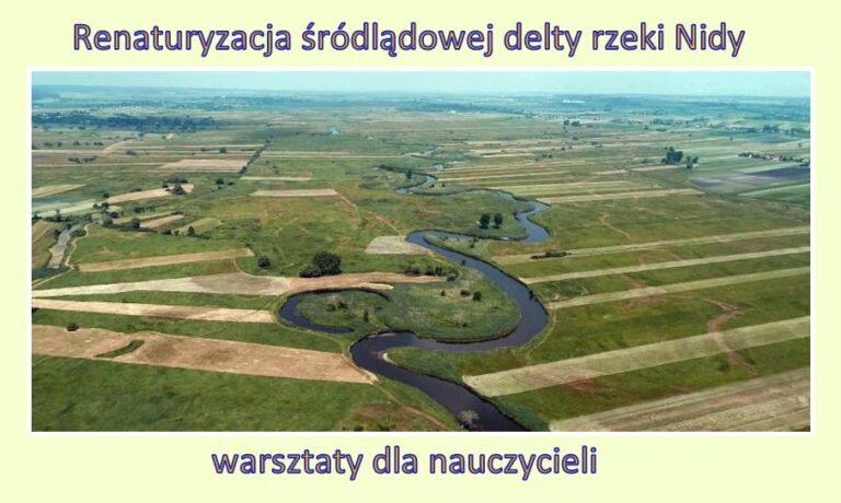 Delta-rzeki-Nidy